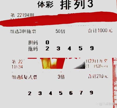 3d和排列3,揭秘数字游戏的奥秘与策略