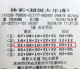 大乐透开奖500彩网,揭秘中奖秘诀，助力彩民梦想成真